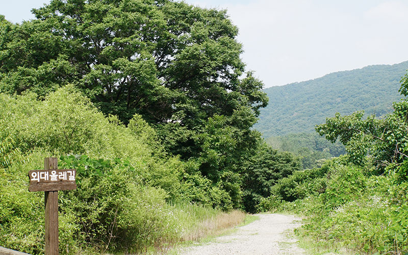 산책